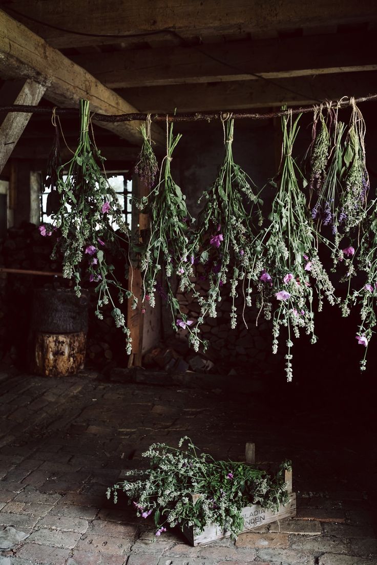 dried flowers hang from the ceiling in an old room with brick flooring and exposed beams