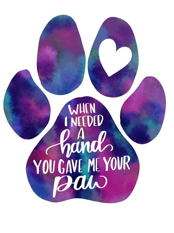 a paw print with the words when i need a hand you gave me your paw