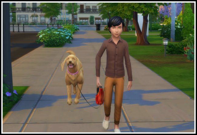 a person walking a dog down a sidewalk