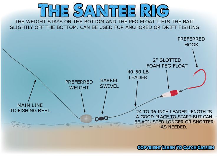 an image of the santee rig with instructions on how to use it for fishing