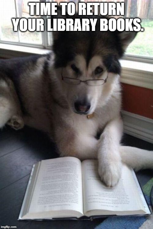 a dog laying on the floor reading a book with caption that reads, pavlov? it brings a bell