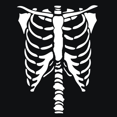 a skeleton is shown in the shape of a human ribcage on a black background