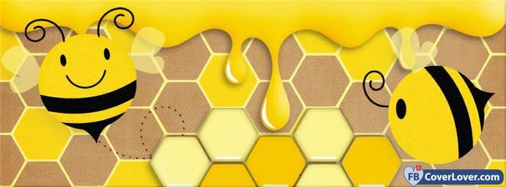 two bees on honeycombs, one is yellow and the other is brown with black stripes