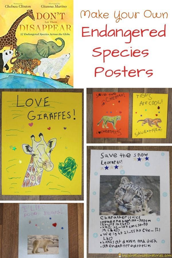 children's handmade posters with animals on them