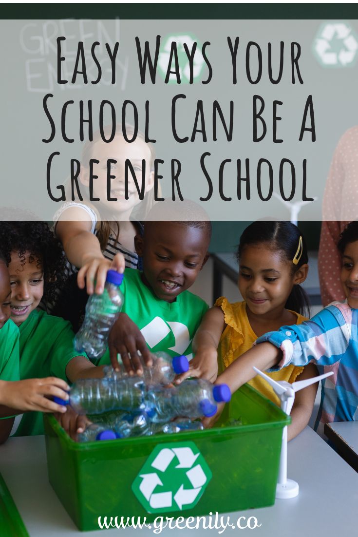 Going green at school can be easy and fun!  Here are some easy ways your school can be a greener school! Eco Friendly Classroom, Sustainable School Projects, Green Team Ideas School, Eco Council Ideas, Eco Friendly School Ideas, Eco School Ideas, School Sustainability Projects, Preschool Sustainability Ideas, Eco School