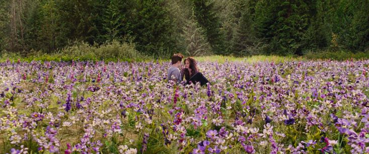 two people are sitting in the middle of a field of purple flowers and pine trees