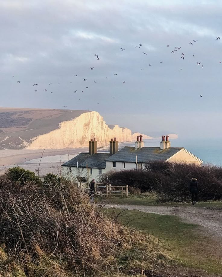 birds are flying around the house near the ocean and cliffs in the distance, with seagulls flying overhead