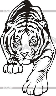 a black and white drawing of a tiger with its paw on it's chest