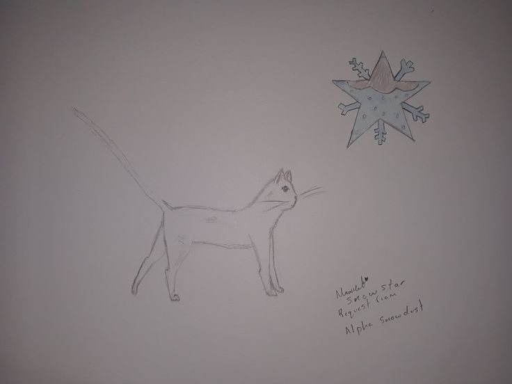 a drawing of a cat standing next to a snowflake on the side of a wall