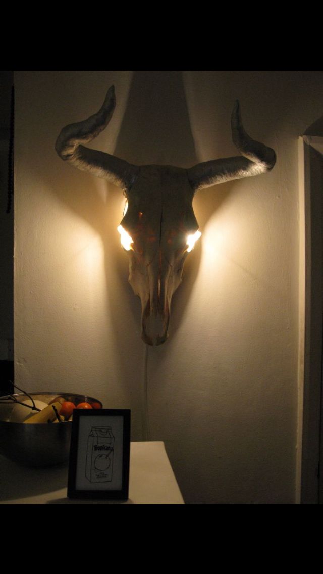 an animal skull mounted on the wall with lights shining in it's eyes and head