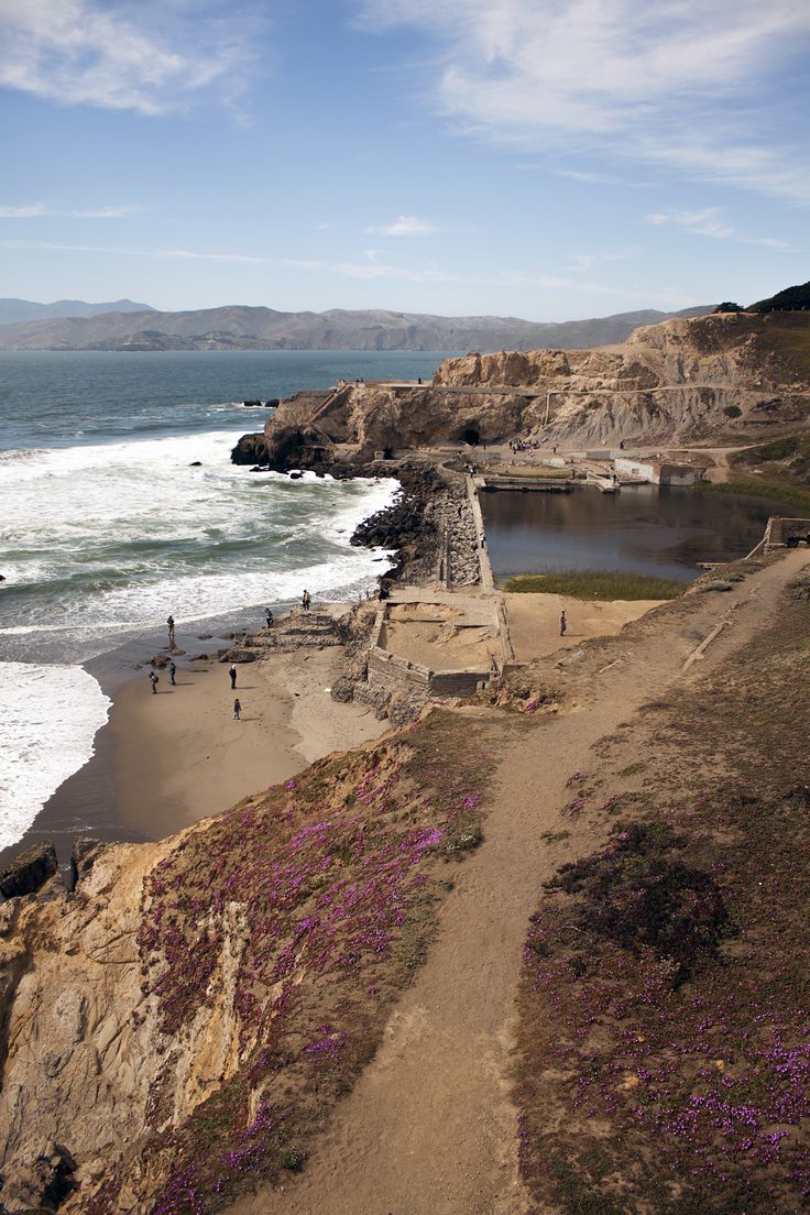 people are walking along the beach by the water's edge with purple flowers growing on the shore