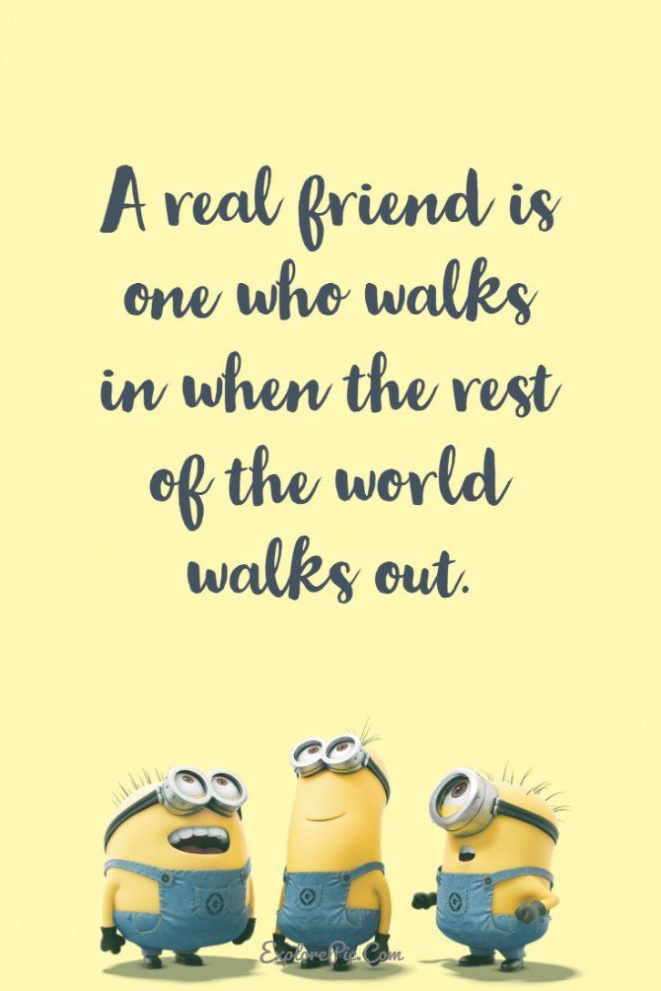 Funny Quotes On Friendship Day