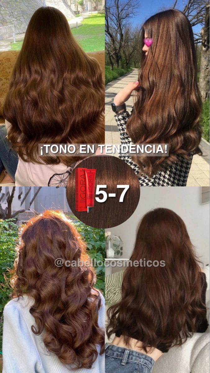 Igora Royal Chocolate Brown, Medium Mahogany Brown Hair, Coper Hairstyles Color, Brunette Chocolate Hair, Latina Brown Hair, Pelo Color Chocolate, Rubio Chocolate, Hair Colors 2024, Brown Chocolate Hair