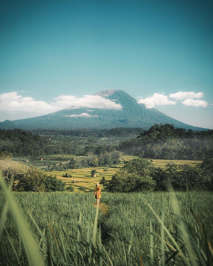 a person walking through tall grass in front of a mountain