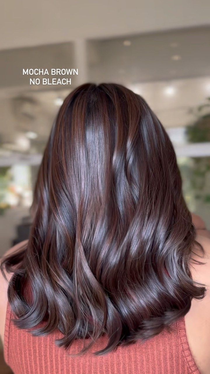 Burgundy Hair Olive Skin Tone, Shoulder Dark Brown Hair, Mocha Brown Hair Highlights, Cocoa Brown Hair Balayage, Indian Tone Hair Color, Hair Colour According To Skin Tone, Solid Hair Color Ideas For Curly Hair, Hair Colour On Brown Skin Tone, Hair Colour For Skin Tone