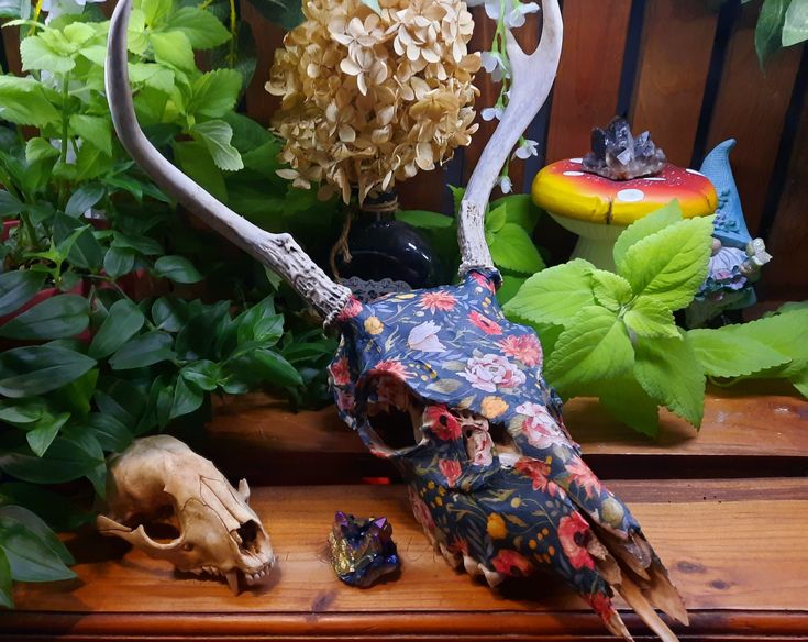 an animal skull and some plants on a table