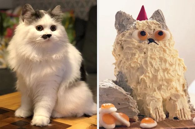 two pictures side by side one has a cake and the other has a cat on it