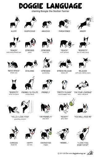 a sign with dogs and their names on it