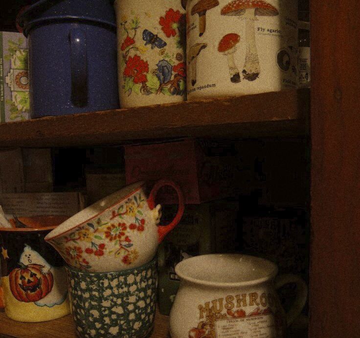 some dishes are sitting on a shelf in a room with wooden shelves and cupboards