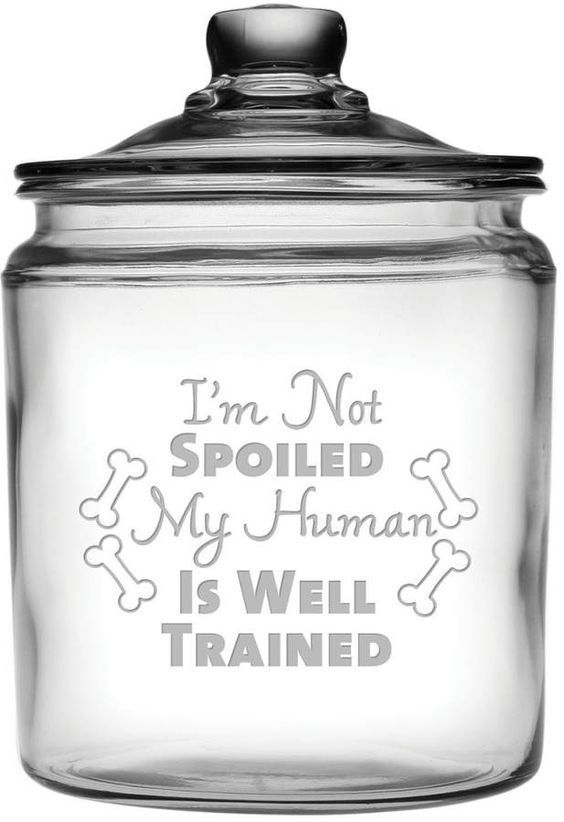 a glass jar with a lid that says i'm not spoiled my human is well trained