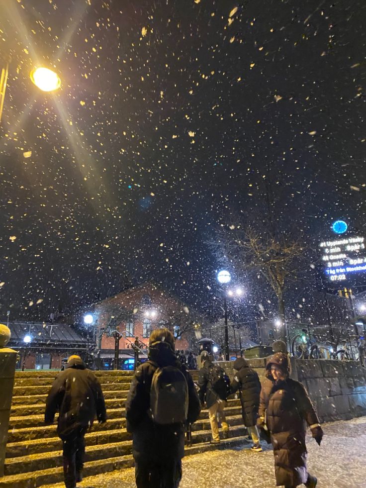 people walking up steps in the snow at night with bright lights and falling snow flakes