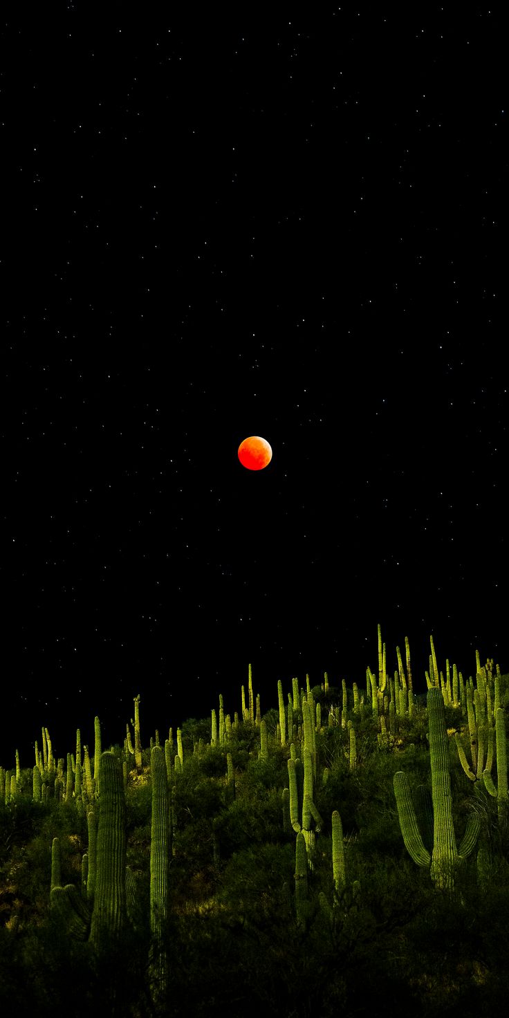 an orange object is in the dark sky above cacti