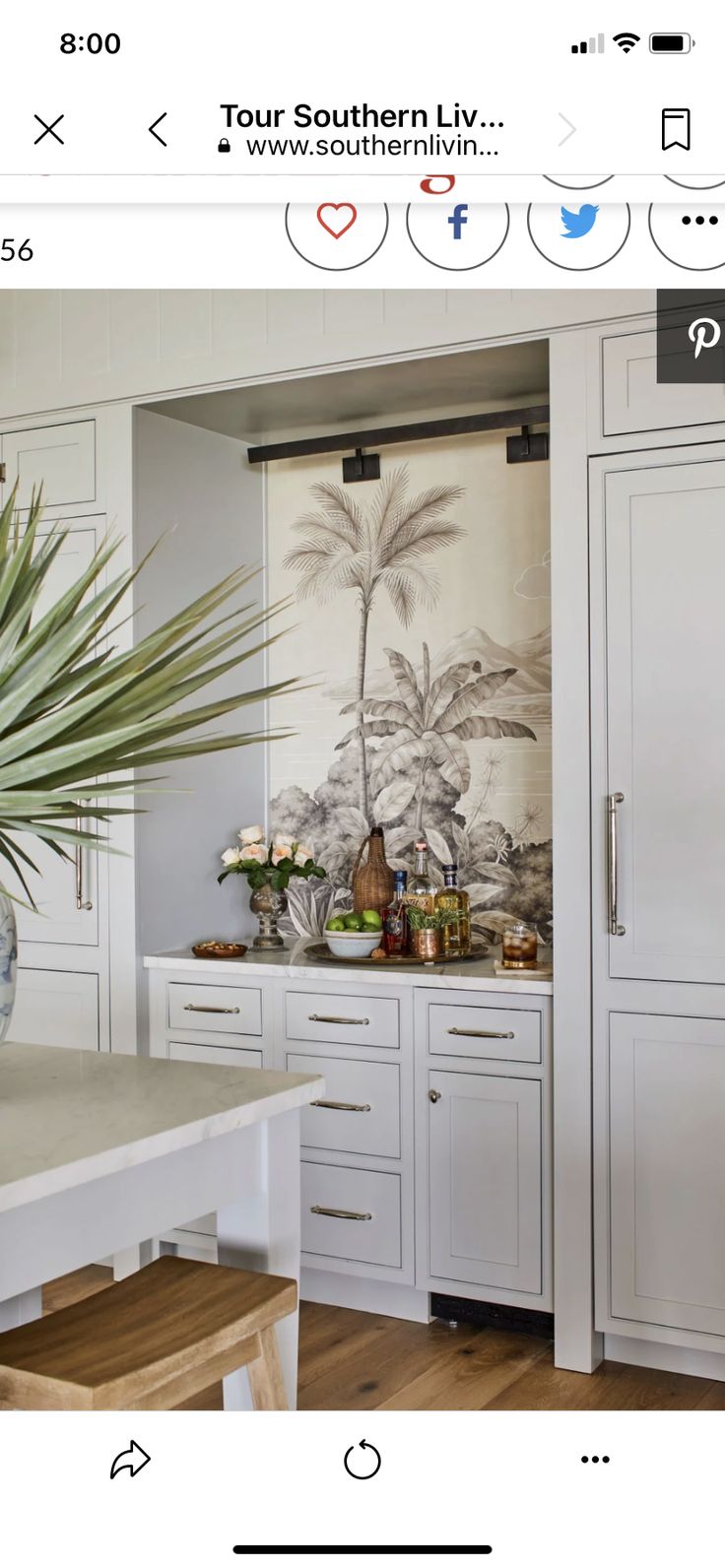 a large plant in a vase on top of a kitchen counter next to white cabinets