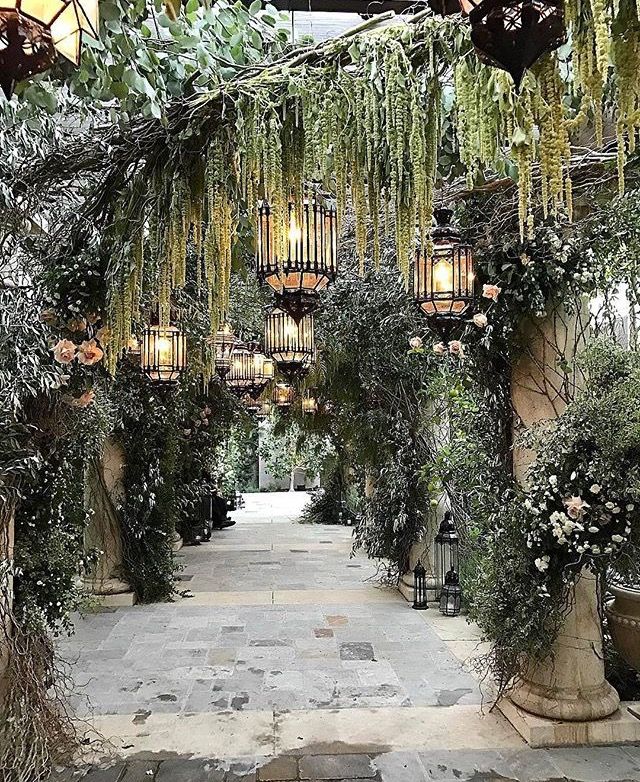 an outdoor area with lots of greenery and hanging lights on the ceiling, along with potted plants