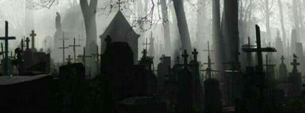 a cemetery with many crosses in the woods