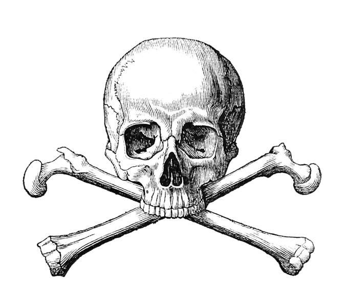 a skull and crossbones with one missing the lower jaw, vintage line drawing or engraving illustration