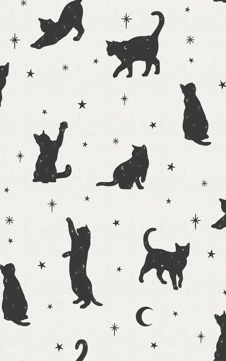 black cats and stars on white background