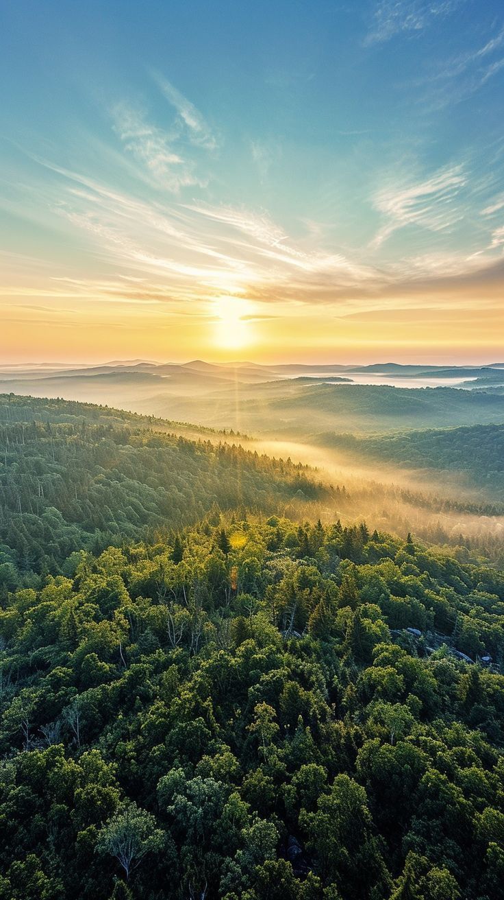 the sun is setting over an area with many trees and bushes on both sides of it