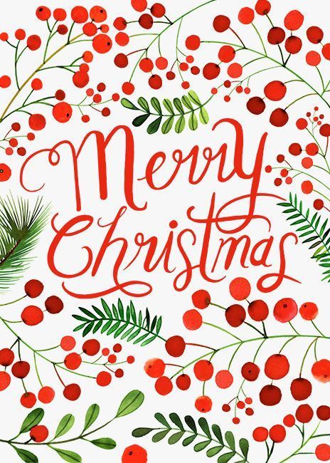 a merry christmas card with red berries and green leaves on it, surrounded by holly branches