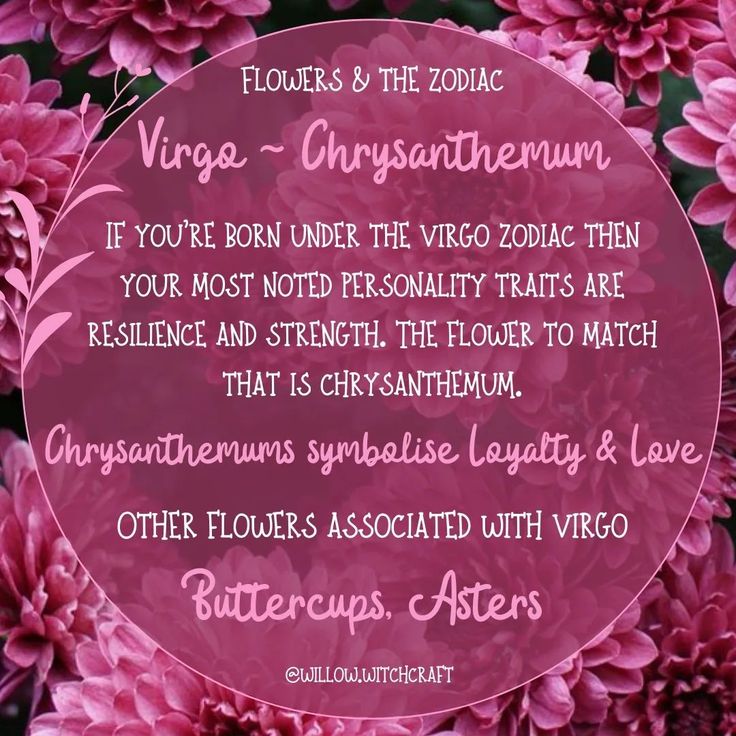 flowers and the zodiac sign for virgo - enchantemum, if you're born under the virgo - enchantem