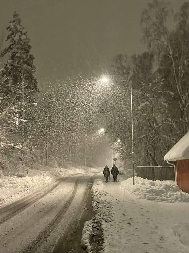 two people walking down a snowy road at night