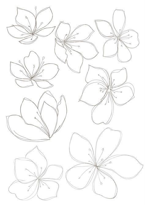 some flowers that are drawn in pencil