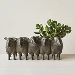 four metal sheep are lined up in front of a plant