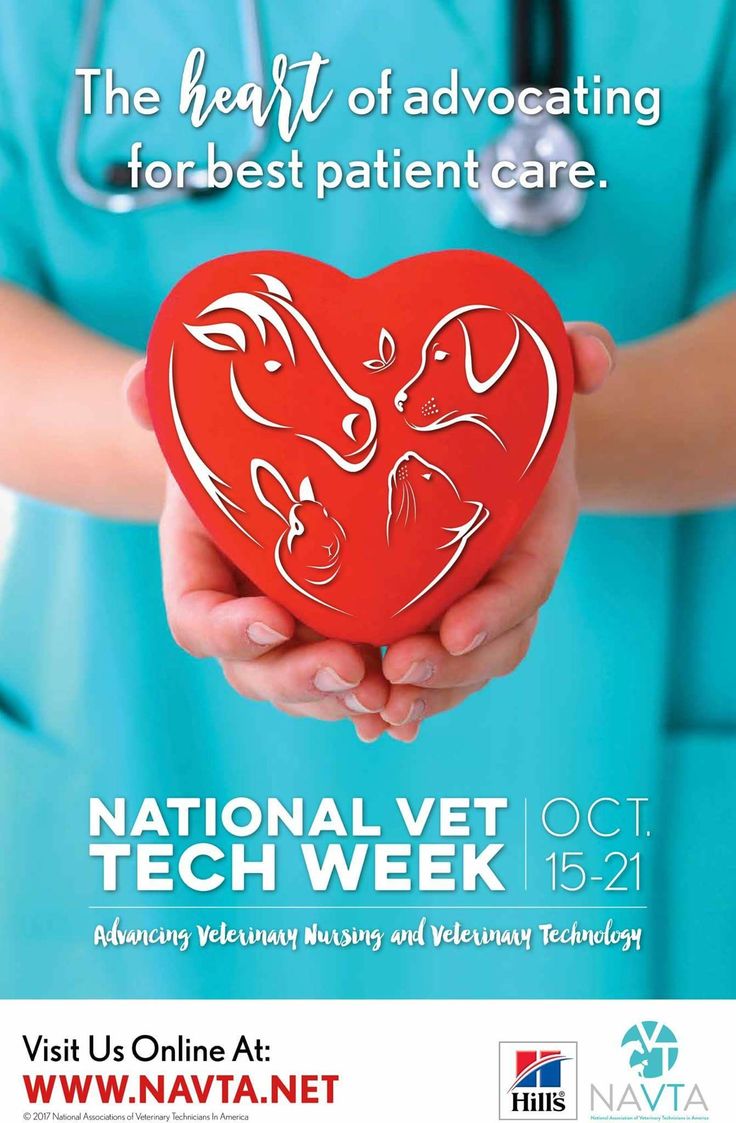 a poster for national vet tech week with a red heart and two dogs on it