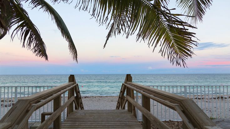 a wooden staircase leading to the beach with palm trees on either side and water in the distance