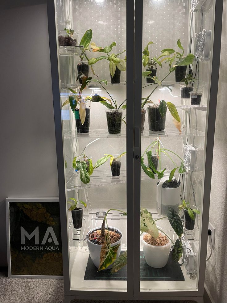 a glass case with plants inside of it