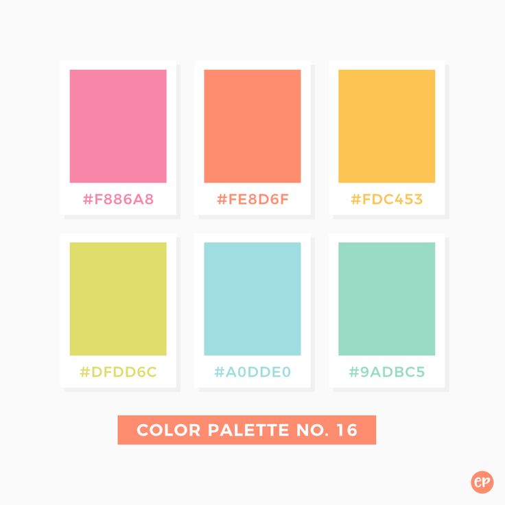 the color palette is shown in different colors