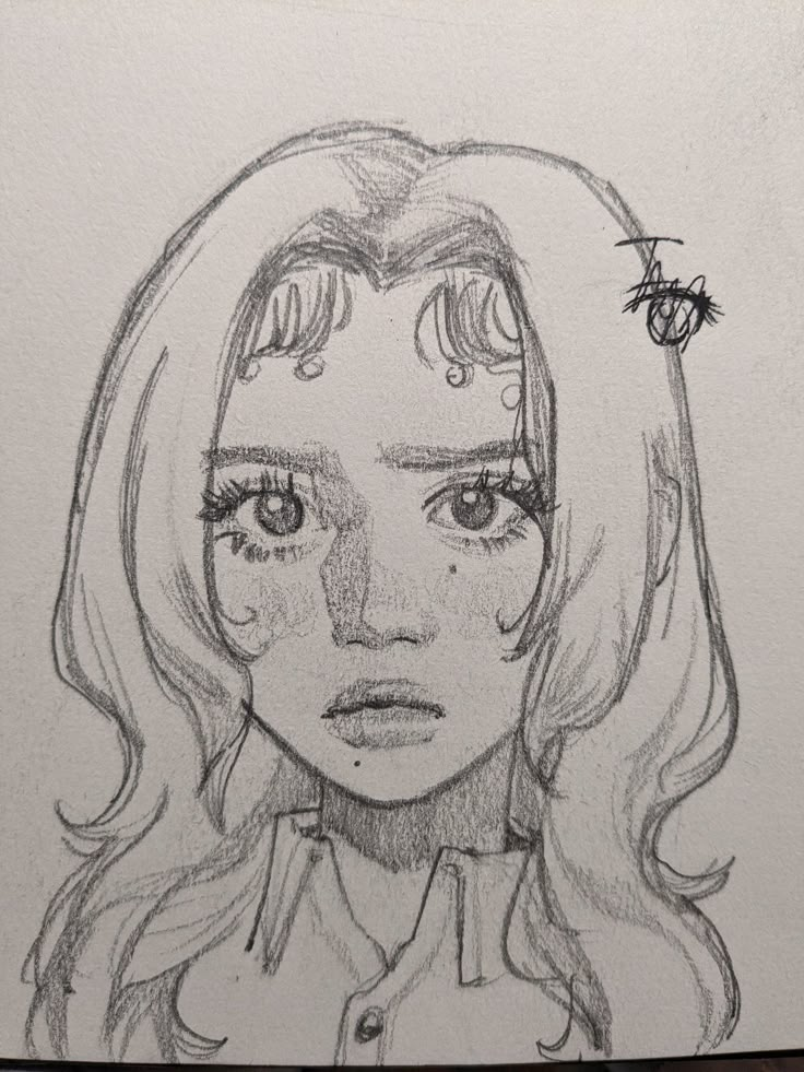 a pencil drawing of a girl with long hair and spider on her head, looking at the camera