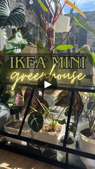 a sign that says ikea mini green house in front of some potted plants