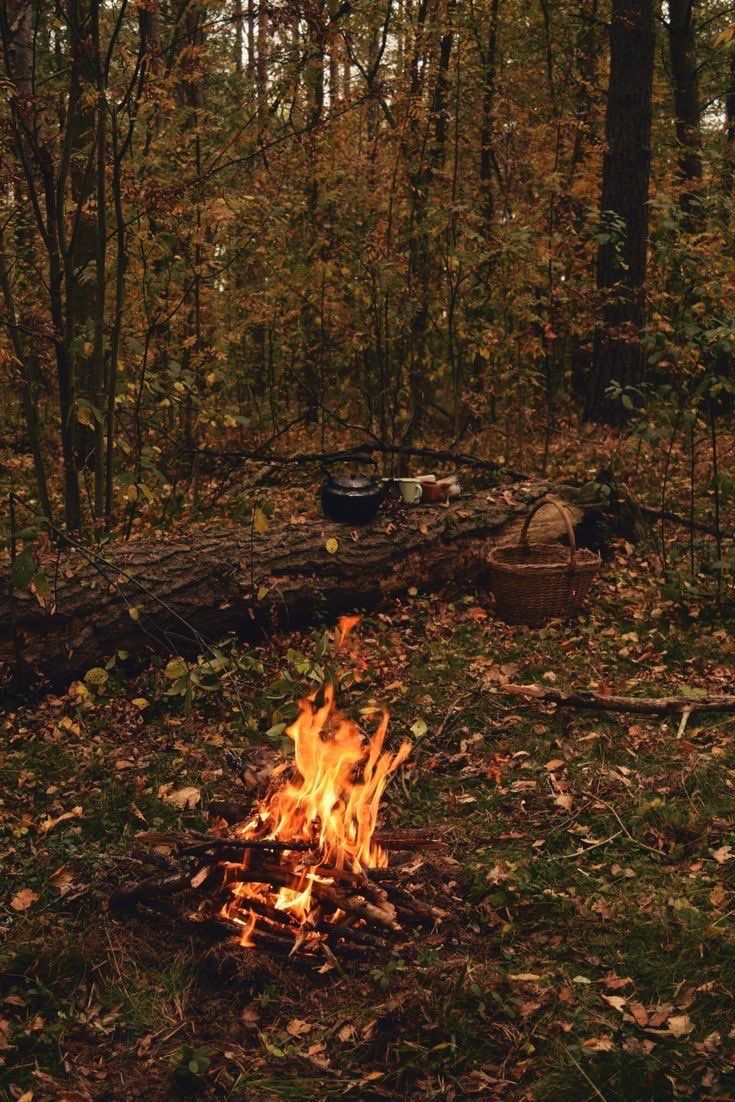 a fire in the middle of a forest filled with leaves