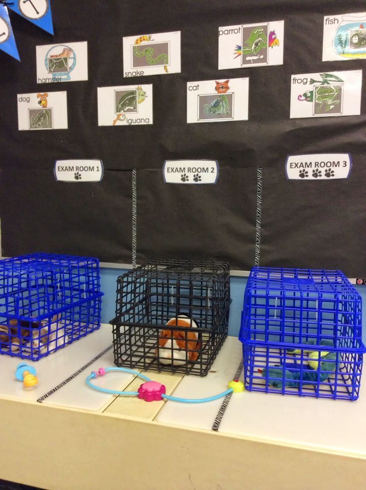 several cages with animals in them sitting on a table next to a blackboard and blue ribbon