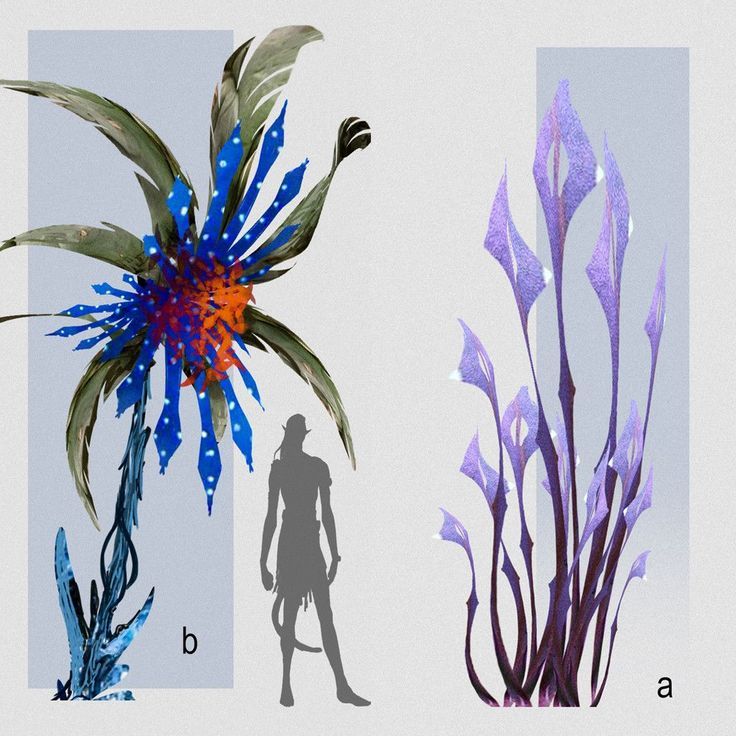 three different types of flowers and plants are shown in the same image, each with their own shadow