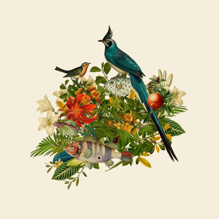 two birds sitting on top of flowers and plants