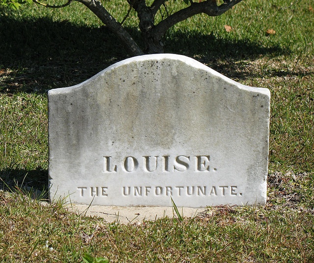 a headstone sits in the grass next to a tree