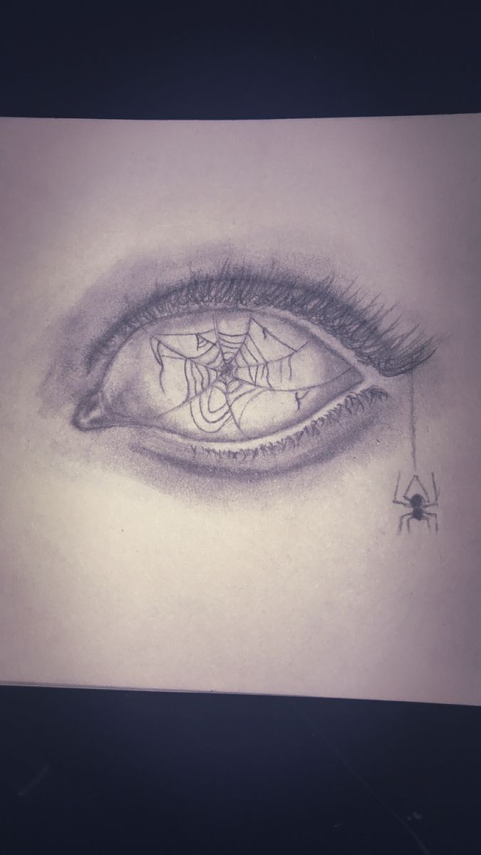 a pencil drawing of an eye with spider web on it's outside iris area