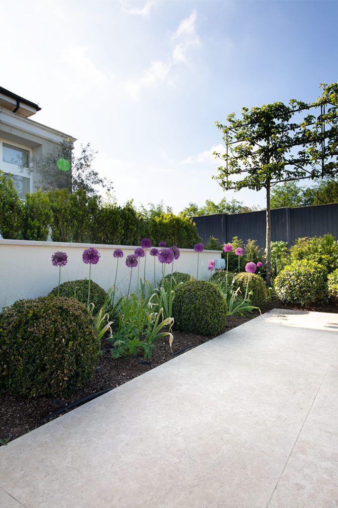 an outdoor garden with purple flowers and shrubbery on the side of a house in front of a white fence